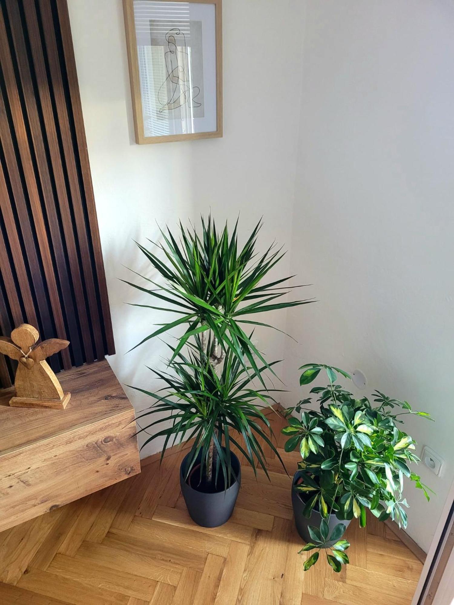 Novy Apartman Eva Jičín Exterior foto