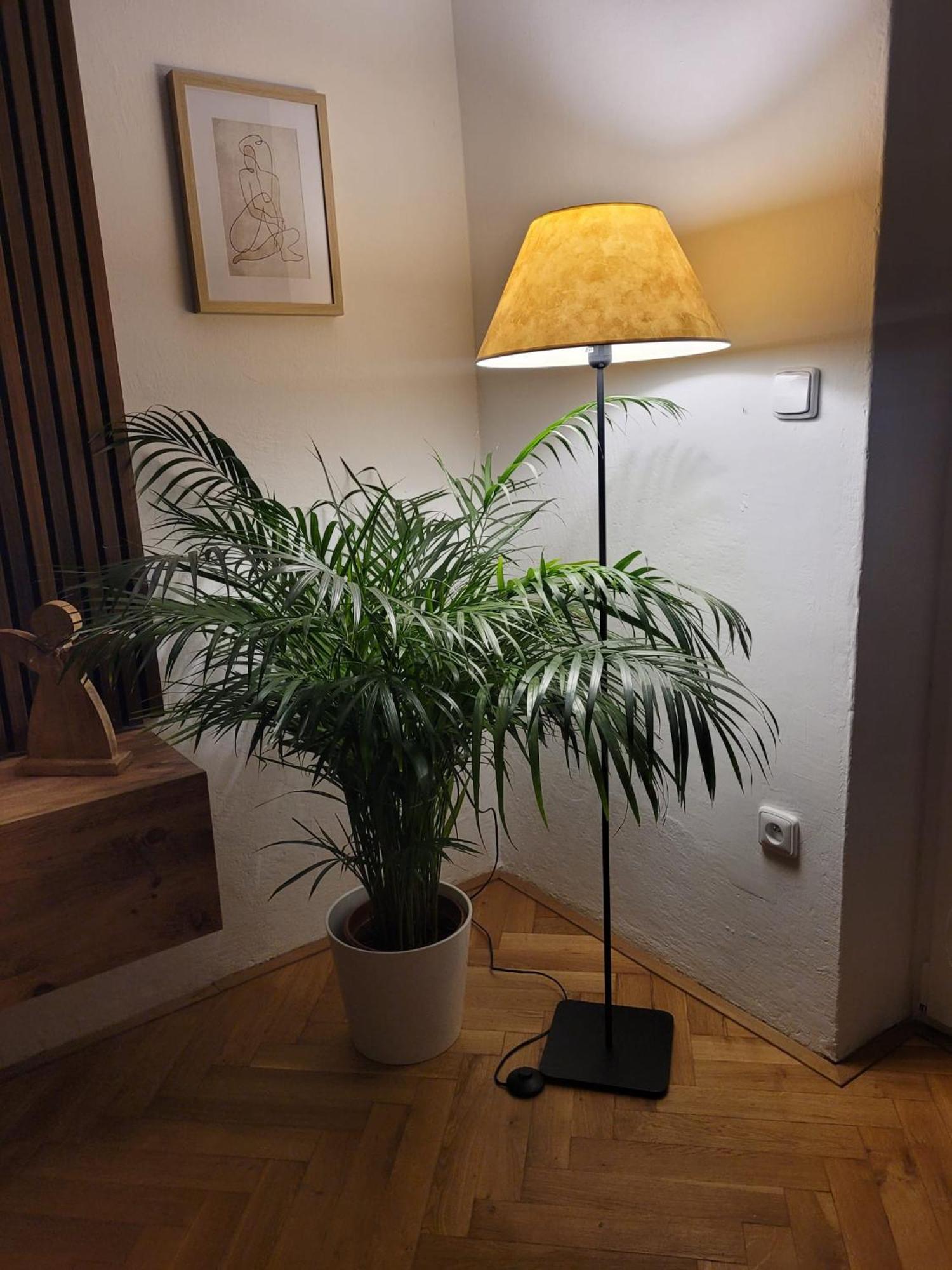 Novy Apartman Eva Jičín Exterior foto